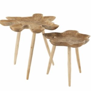 Ensemble de 2 tables d'appoint en bois de teck naturel.