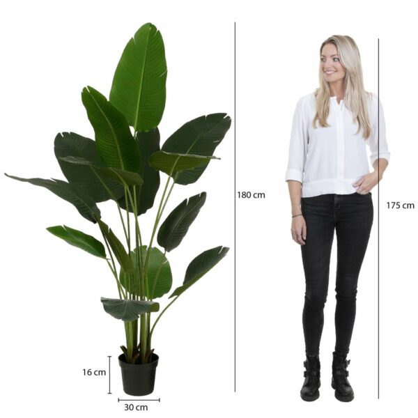 Bananier Artificiel en Pot - H180 x Ø30 cm - Vert – Image 6