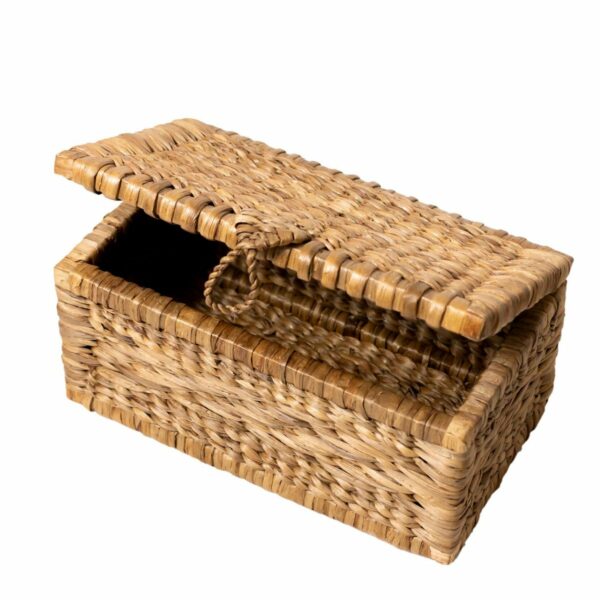 Panier de coffre | Panier à Linge avec Couvercle KELANA en Jacinthe d'Eau (2 tailles) – Image 6