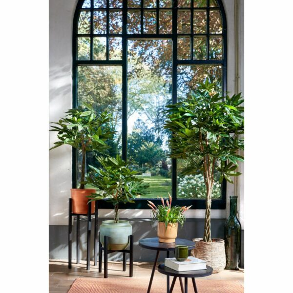 Plante Artificielle Pachira - H150 x Ø65 cm - Vert – Image 6