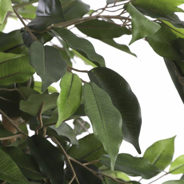 Plante Ficus Artificielle - H110 x Ø65 cm - Vert – Image 2