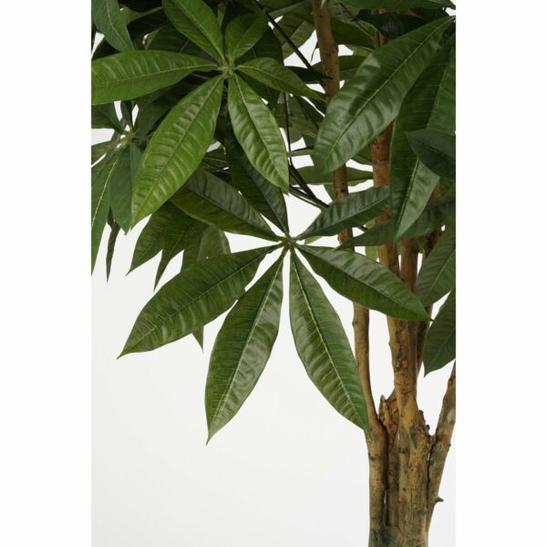 Plante Artificielle Pachira - H150 x Ø65 cm - Vert – Image 2