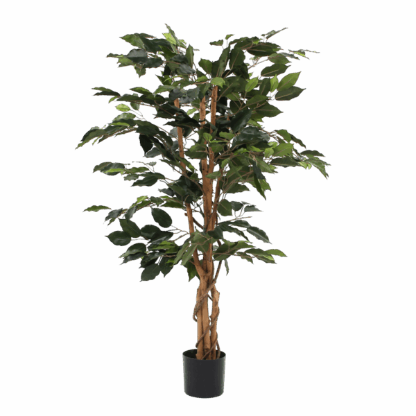 Plante Ficus Artificielle - H110 x Ø65 cm - Vert