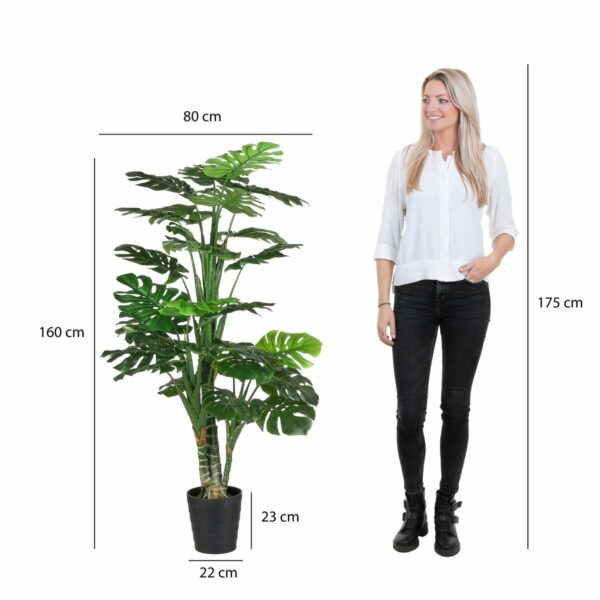 Plante Artificielle Monstera - H160 x Ø80 cm - Vert – Image 5