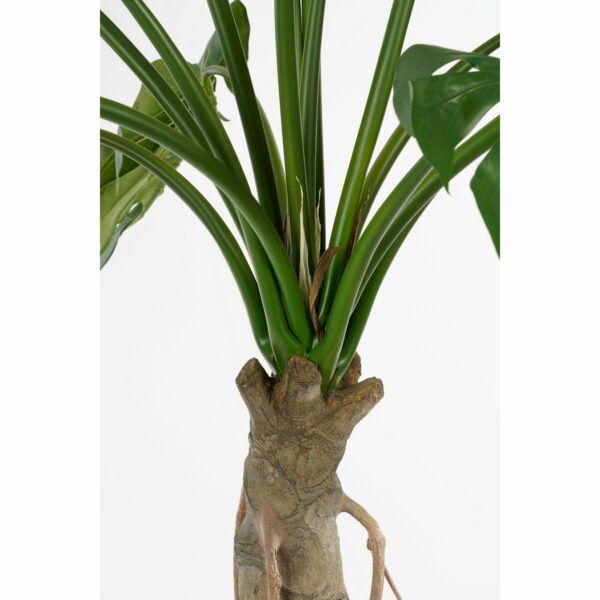 Plante Artificielle Monstera - H135 x Ø100 cm - Vert – Image 3