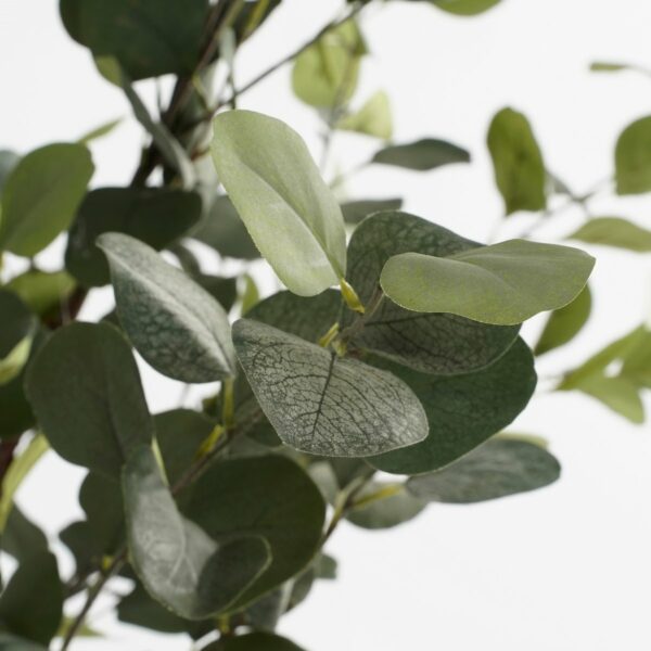Plante artificielle Eucalyptus en Pot - H180 x Ø80 cm - Vert – Image 2