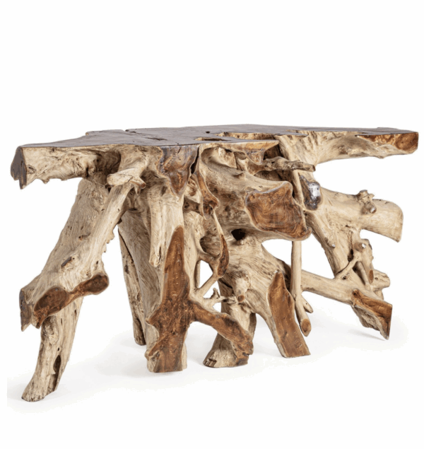 Console Racine lisandra
