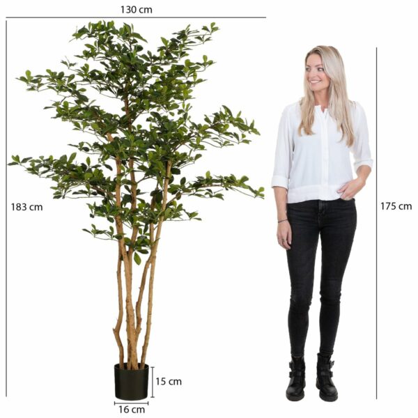 Plante artificielle Olivier en Pot - H183 x Ø130 cm - Vert – Image 2