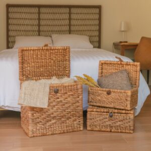 Panier de coffre | Panier à Linge avec Couvercle KELANA en Jacinthe d'Eau (2 tailles)