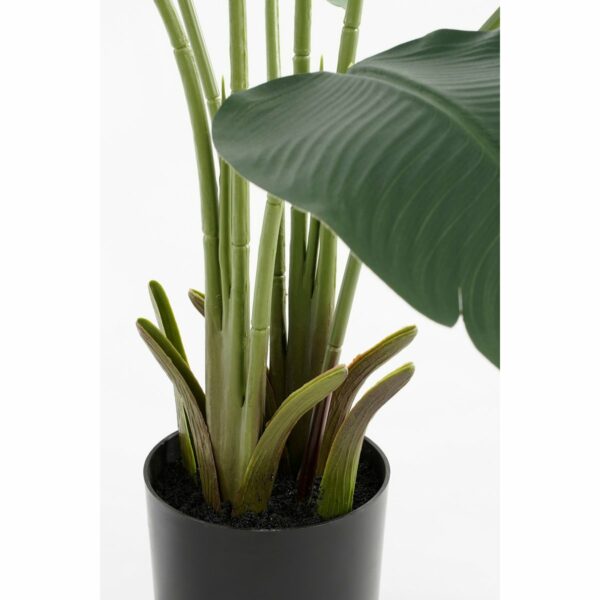 Bananier Artificiel en Pot - H180 x Ø30 cm - Vert – Image 4