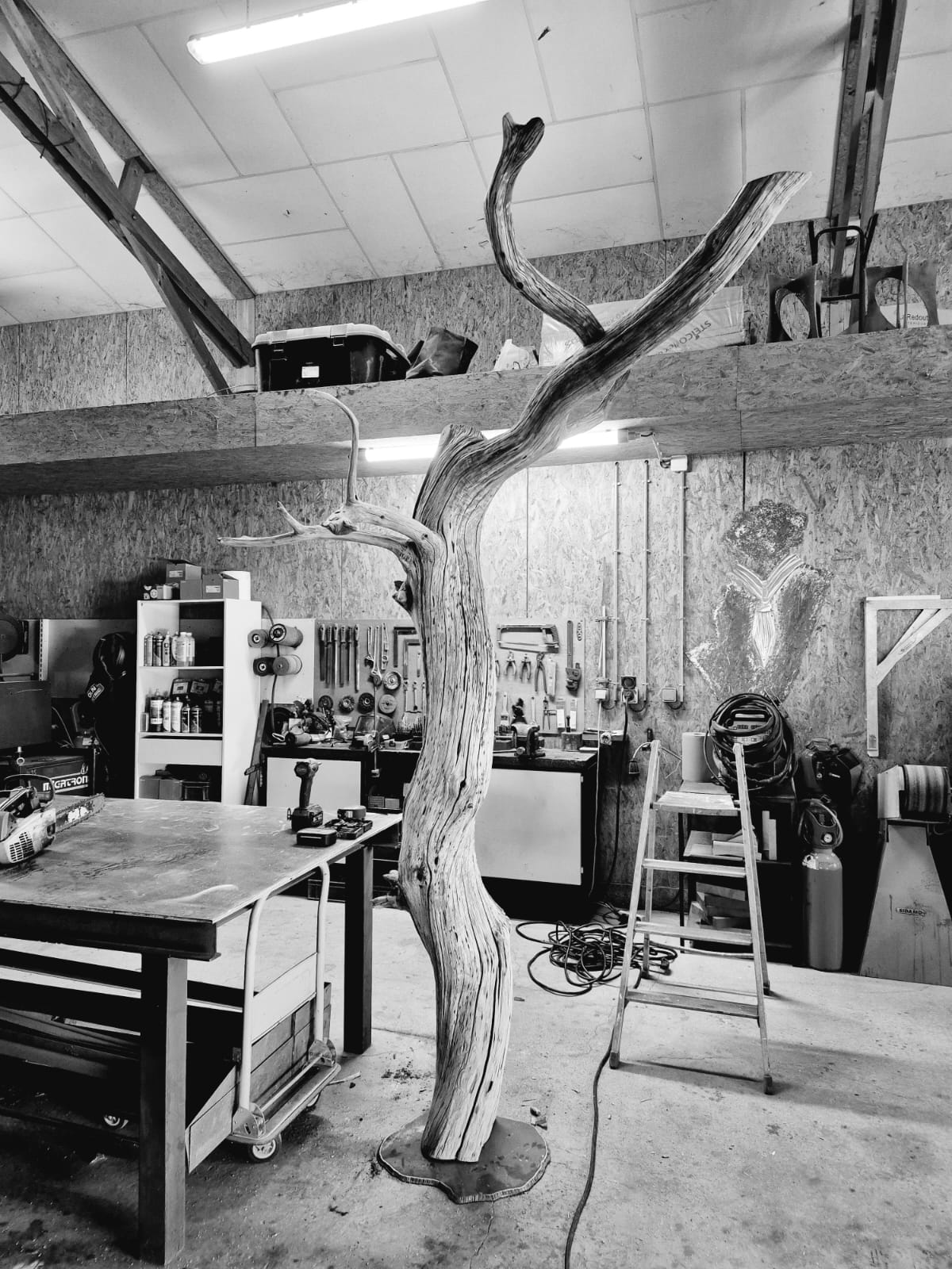 Pierre Bouvet Créateur