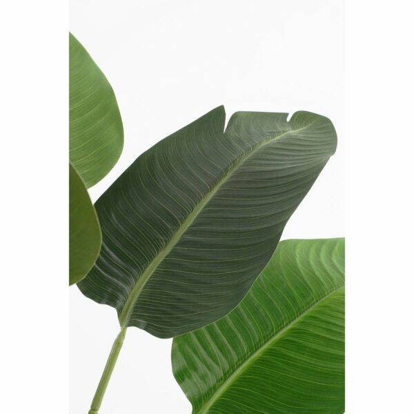 Bananier Artificiel en Pot - H180 x Ø30 cm - Vert – Image 2