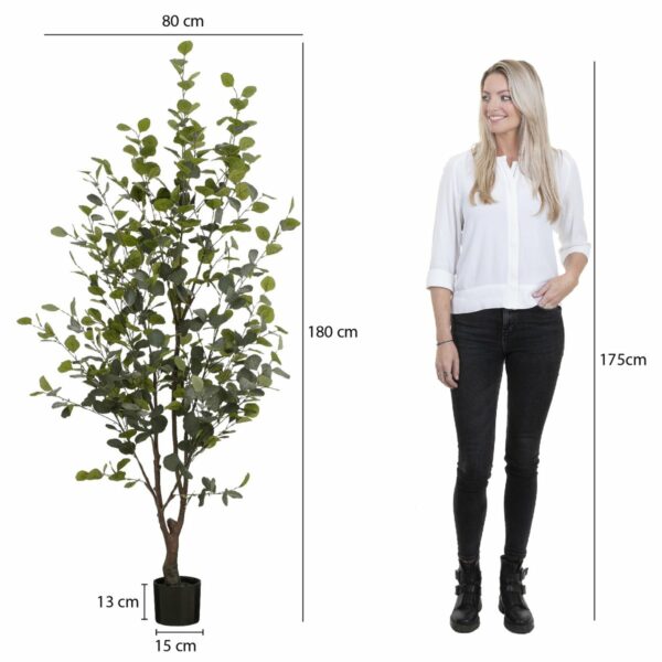 Plante artificielle Eucalyptus en Pot - H180 x Ø80 cm - Vert – Image 6