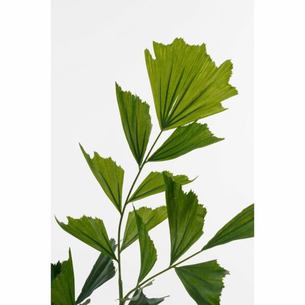 Plante artificielle de palmier de la queue de poisson en pot - H150 x Ø100 cm - vert – Image 2