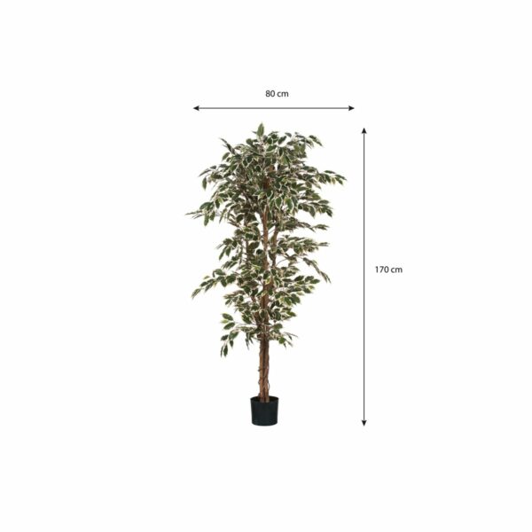 Plante Ficus Artificielle - H180 x Ø90 cm - Panaché Vert – Image 5