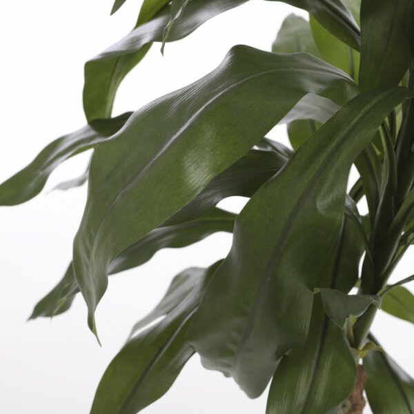 Plante Artificielle Dracaena - H100 x Ø70 cm – Image 2
