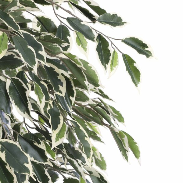 Plante Ficus Artificielle - H180 x Ø90 cm - Panaché Vert – Image 2