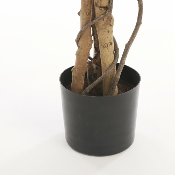 Plante Ficus Artificielle - H180 x Ø90 cm - Panaché Vert – Image 3