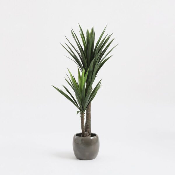 Plante Artificielle Yucca - H120 x Ø60 cm - Vert – Image 5