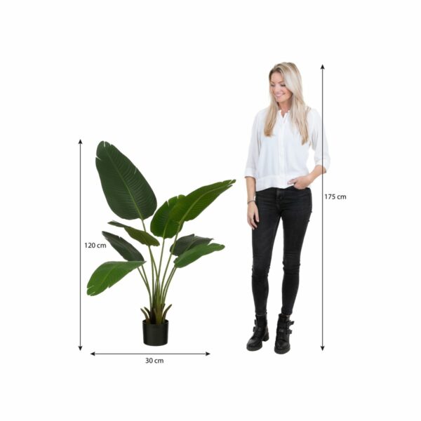 Arbre de bananier de plante artificielle - H120 x Ø30 - vert – Image 6