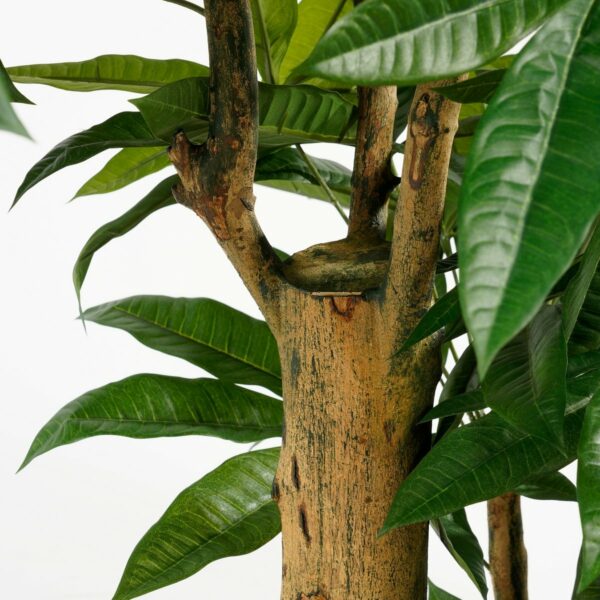 Plante Artificielle Pachira - H175 x Ø85 cm - Vert – Image 3