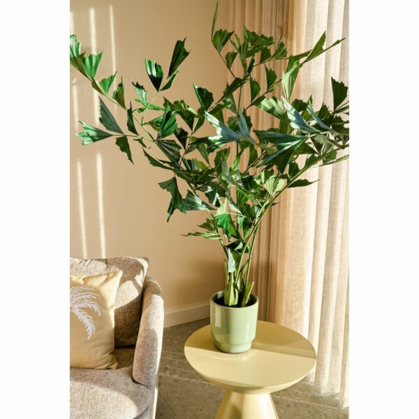 Plante artificielle de palmier de la queue de poisson en pot - H150 x Ø100 cm - vert – Image 7