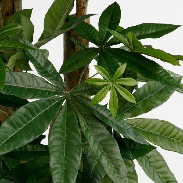 Plante Artificielle Pachira - H175 x Ø85 cm - Vert – Image 2