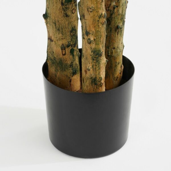 Plante Artificielle Pachira - H175 x Ø85 cm - Vert – Image 4