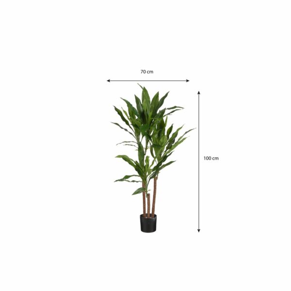 Plante Artificielle Dracaena - H100 x Ø70 cm – Image 6