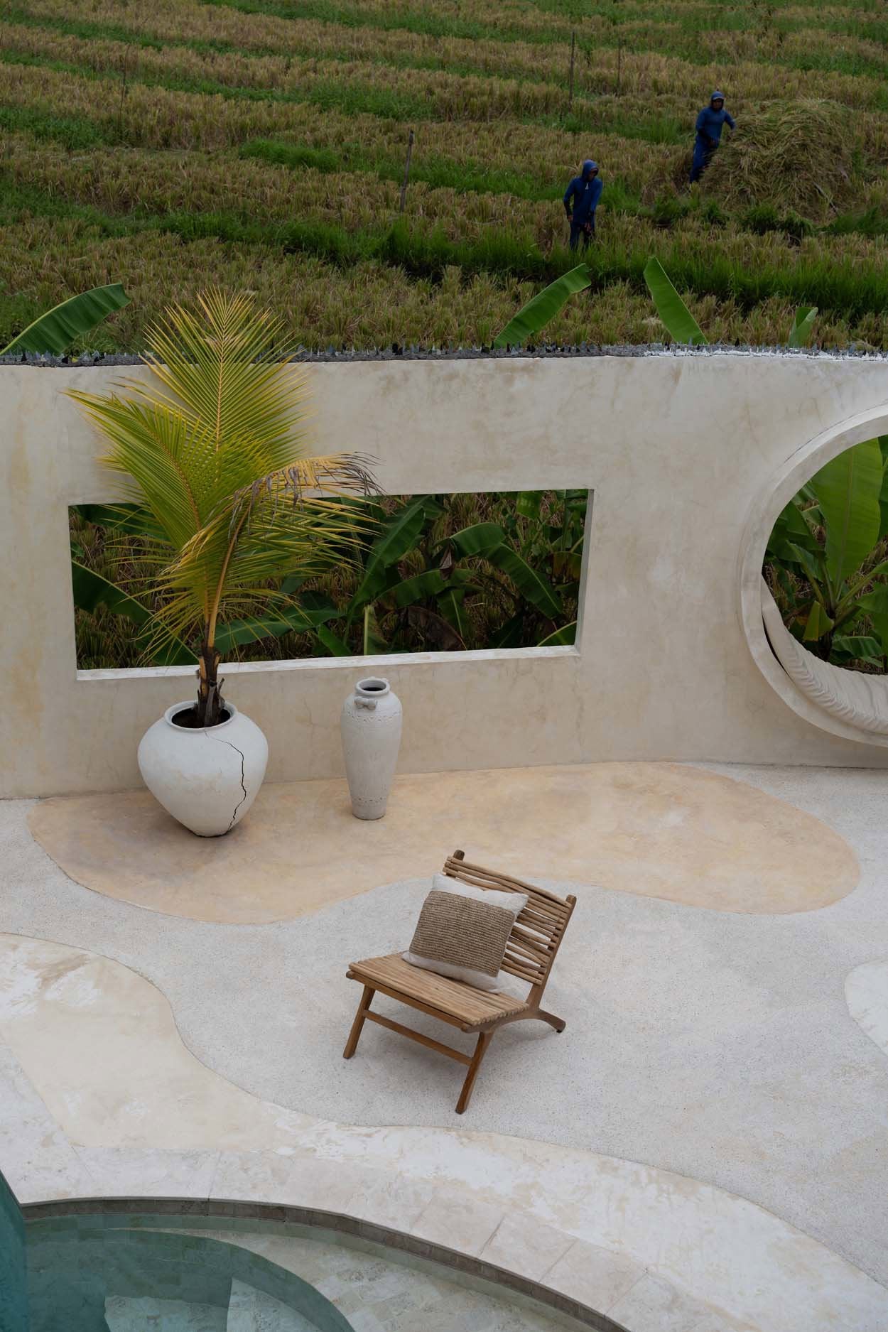 L'Islander - Naturel – Image 3